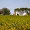 VIRGINIA: VIRGINIA BEACH: fairly classic Virginia farmhouse with trees