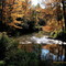 Serene Autumn River Scene
