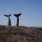 Whale Tails in Vermont
