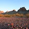 Eagletail Mountains