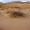 Kelso Dunes -  Mohave National Preserve