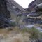 Bull Canyon, Mojave National Preserve