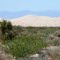Sand dunes