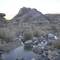 Water in a seasonal stream next to Coyote Springs (usually dry) , end of December 2007, Mojave National Preserve