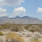 Mojave Desert Road