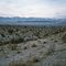 Joshua Trees and the San Bernardino Mountains - 1975 (E19A)