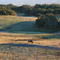 El Campo