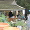 Cottage Gardens of Petaluma