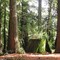 Upper grove, Indian Tree Open Space, Novato