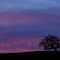 Before the Dawn