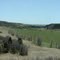 Castlewood Canyon State Park, CO