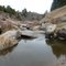 The Bottom of The Canyon