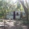 Ocala National Forest, Umatilla FL Marion County