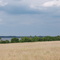 Old Grove overlooking Lake Yale