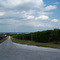 Citrus Country