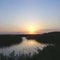 Sunset in the swamp