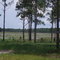 LONG POND