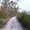 ONF Trail, looking east