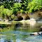 Seven Pillars along the Mississinewa River, Peru, IN