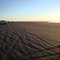 Coastal Superhighway near Grayland, WA
