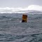 Buoy riding the waves