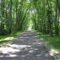 C&O Greenway
