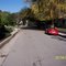 madelia avenue