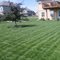 Now that's a good looking yard....