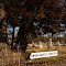 Union Baptist Cemetery near Pleasant Hill, Missouri.