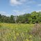 Osage Trails Field