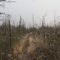 Deer Trail