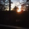 Hideaway Sunset