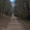 Trail at Mineola Nature Preserve