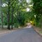 Wooded Road CR-422