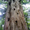 General Burnside Island Park