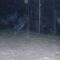 snow storm in Ky