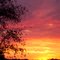 Summer Sunrise