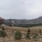 Pleasant Valley Tree Farm