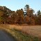 Dunn County Countryside