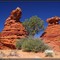 colorful Rocks at Corral Valley, Paria Plateau, Arizona