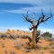 Coyote Buttes South