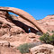 Cobra Arch