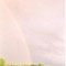 Rainbow After Harvest