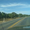 Pear Trees Along The Road