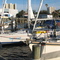 FLORIDA    LAZY JACK