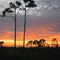 sunsets....