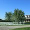 Toilet papered residence, 1888 Bucholtz Highway, Deerfield, Michigan