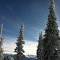 Snow covered trees at the top of Serenity
