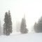Foggy day on the Mountain