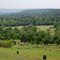 Pastoral Rolling Hills